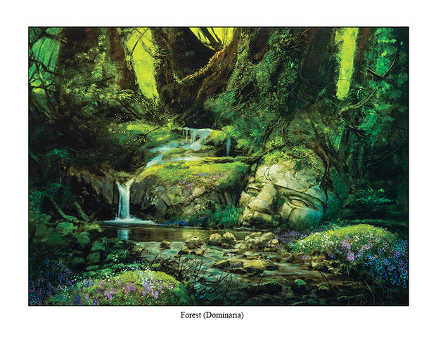 Forest (Dominaria) - Mark Poole Art